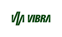 Integração de Sistemas e IA | Bridger 37 Vibra