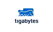 Integração de Sistemas e IA | Bridger 44 Tigabytes